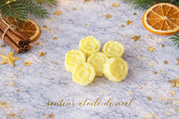 Fondant parfumé étoile de noël