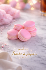 Fondant Macaron Barbe à papa